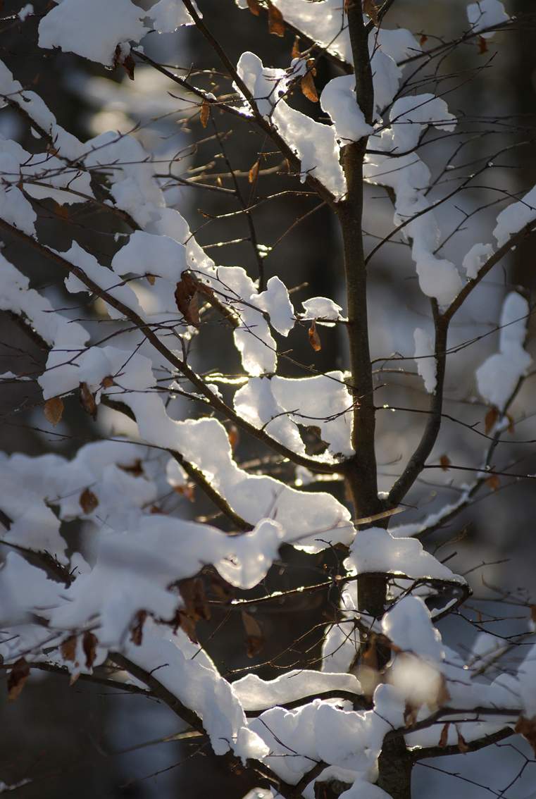 Stressregulation & Achtsamkeit